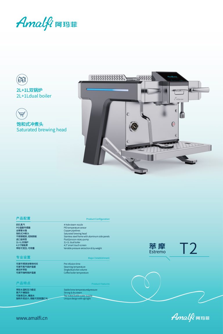 T2